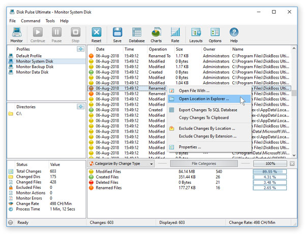 Disk Pulse Full Preactivated