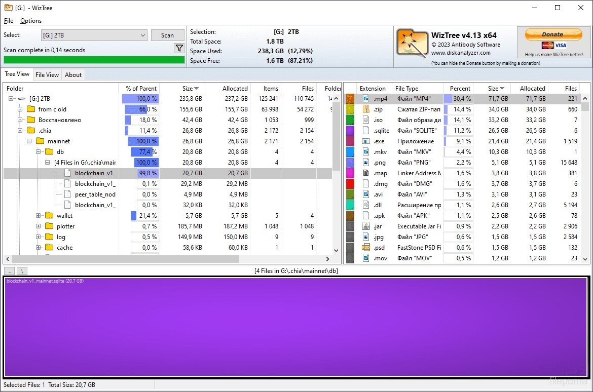 WizTree Enterprise Full Preactivated
