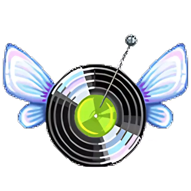 My Music Collection